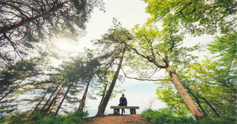 a person sitting on a bench in the middle of the woods