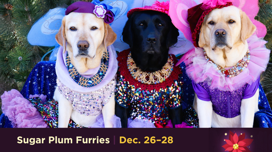 Sugar-Plum-Furries-2025.png