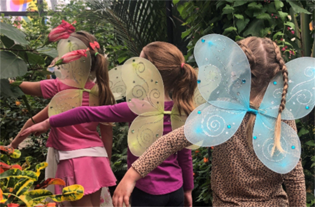 Youth Birthdays Gardens