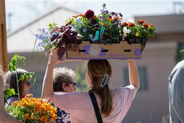 woman holding an overflowing box of plants on her head