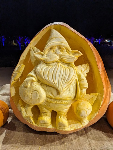 a giant pumpkin gnome carving