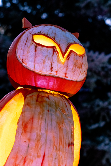 a large pumpkin owl