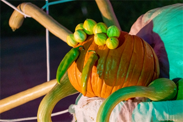 a giant pumpkin spider