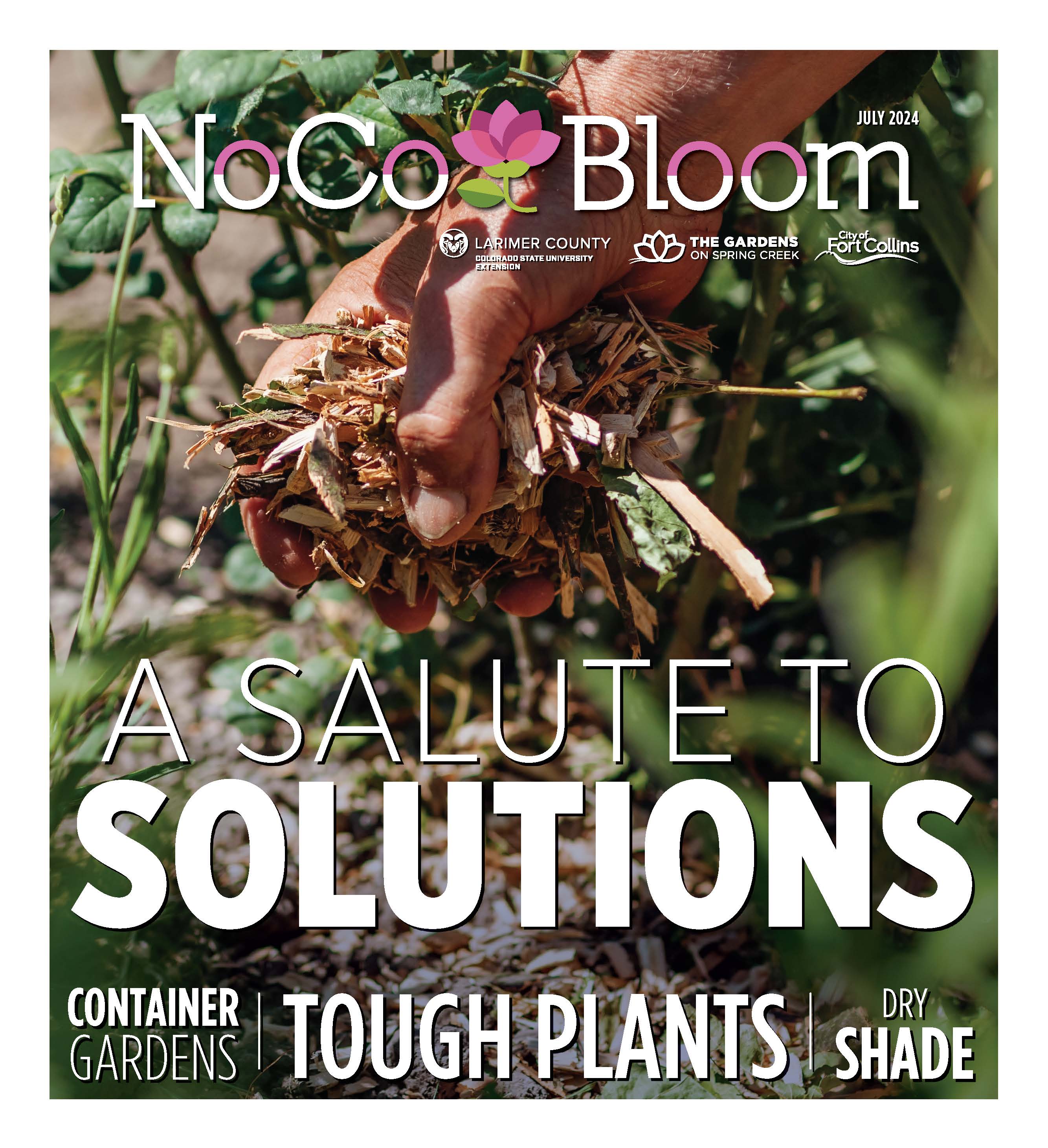 Dig-In-Cover-Image.png