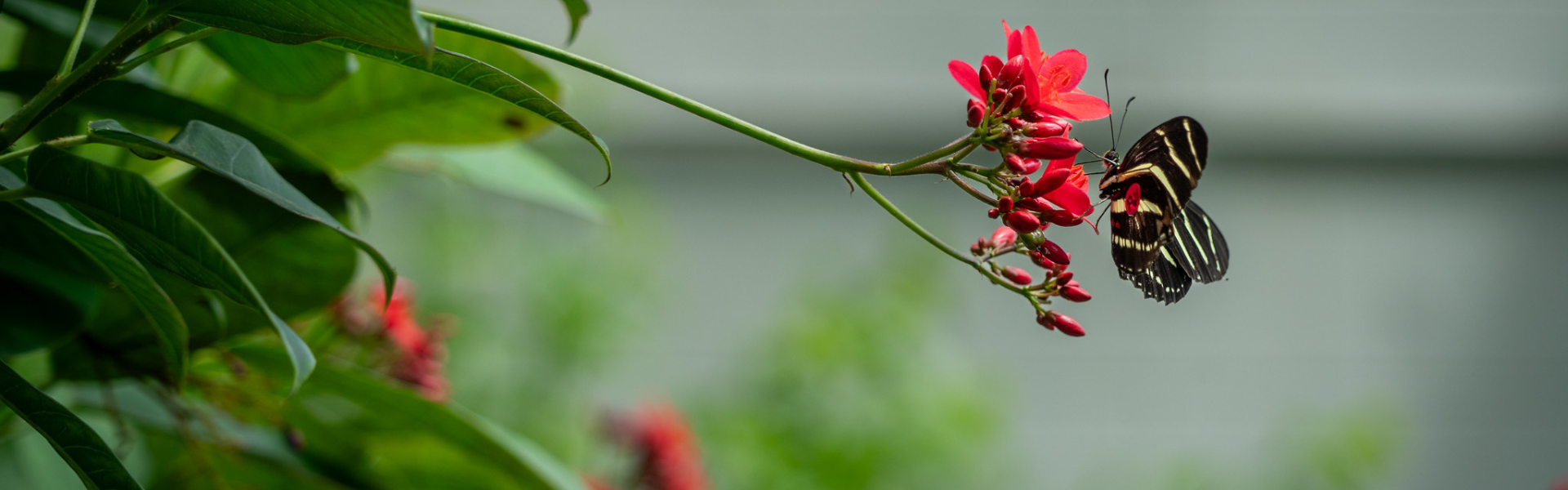 OpenCities Slider Image (1).png