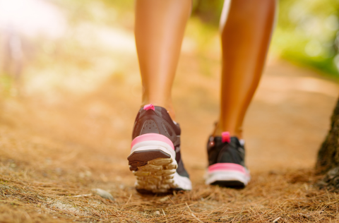 picture of legs and feet with tennis shoes walking on a pine needle path