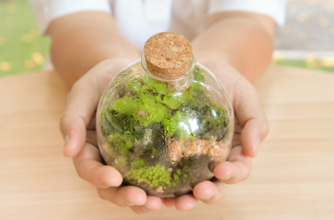 A small terrarium held in two open hands
