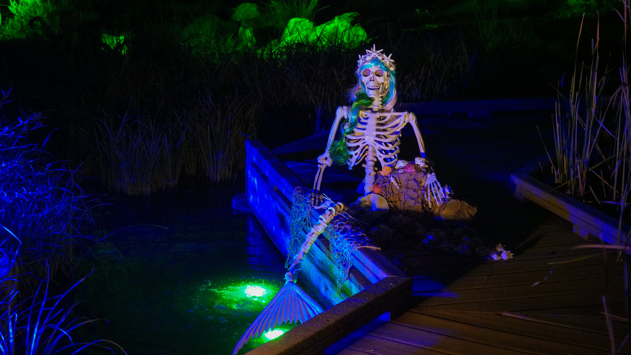 Mermaid skeleton