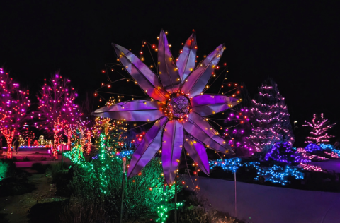 lighted metal flower sculpture