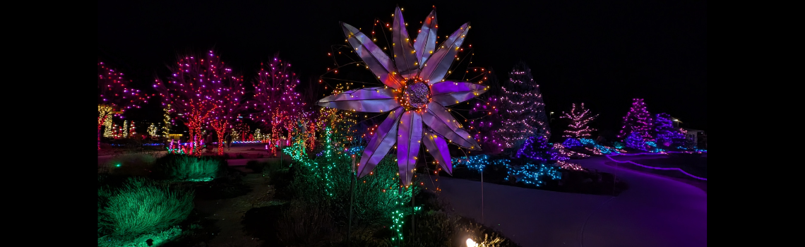 Lighted purple flower in the foreground. Lighted trees in the back.